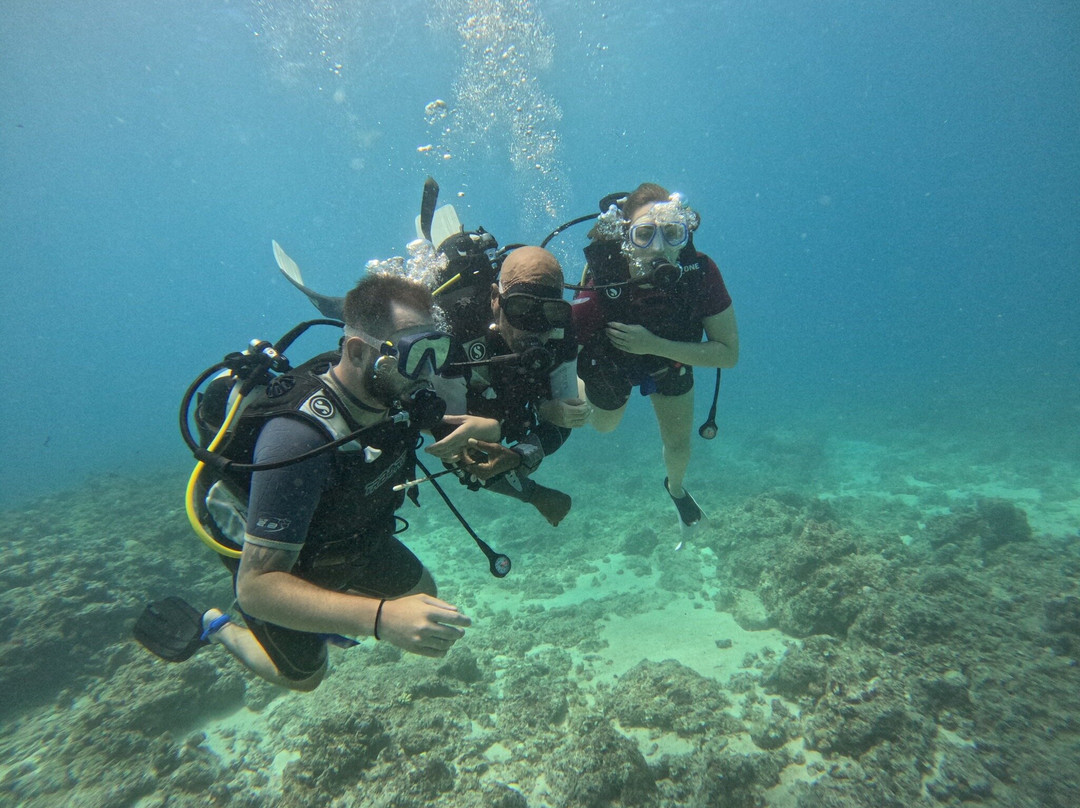 Seaman Diving-大湾必去景点
