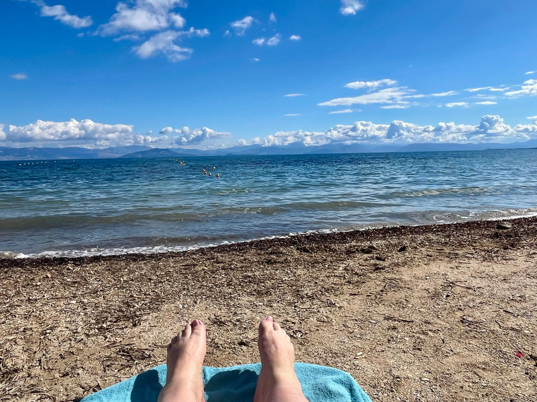 Mitsis Messonghi主图