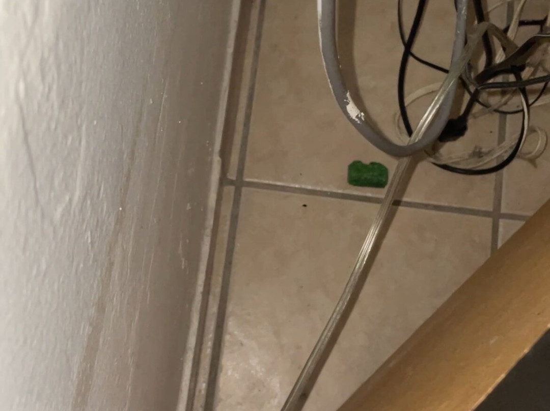 The Patriots Boutique Motel主图