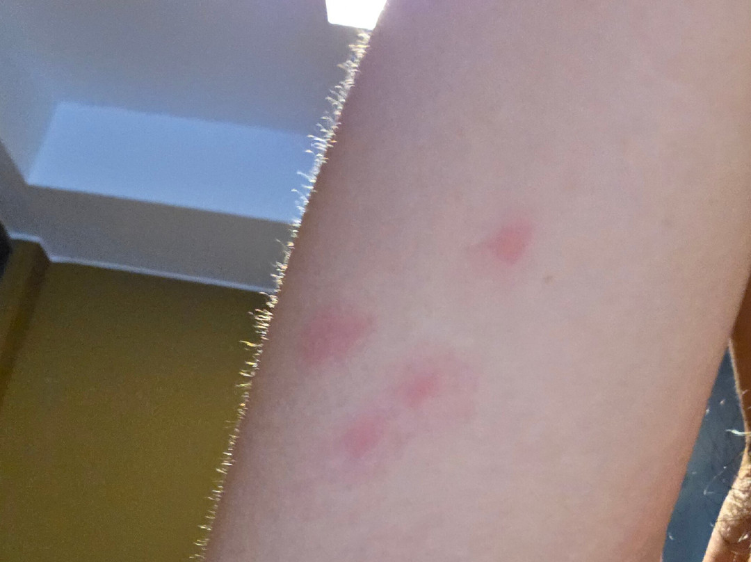 Amsterdam Forest Hotel主图