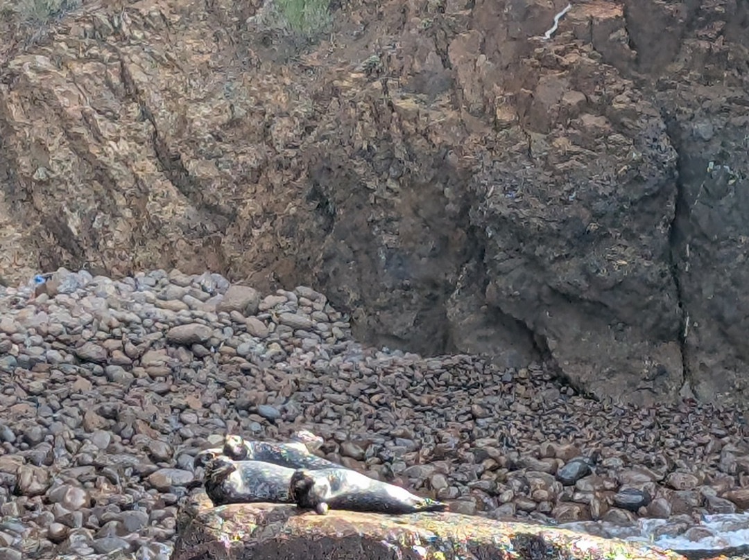 Baja Blue Diver-恩塞纳达必去景点