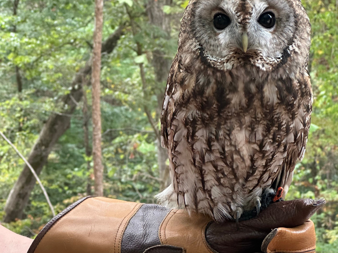 World Bird Sanctuary-Valley Park必去景点