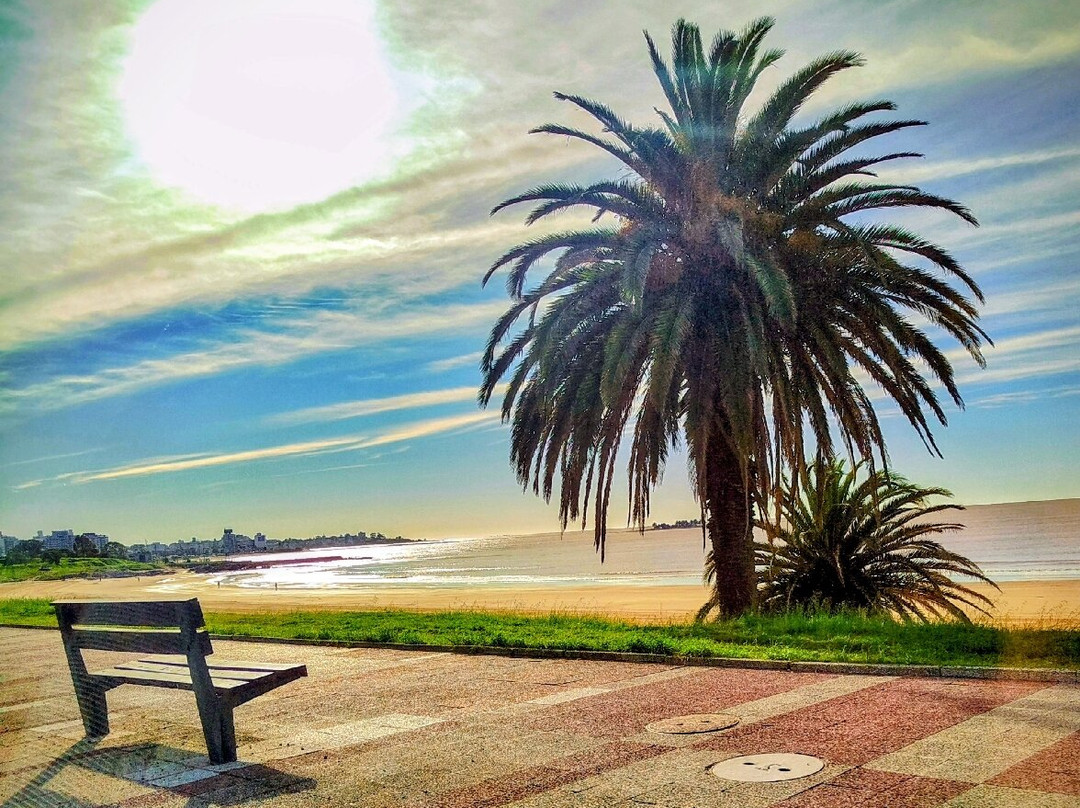 Senderos del Tannat-蒙得维的亚必去景点