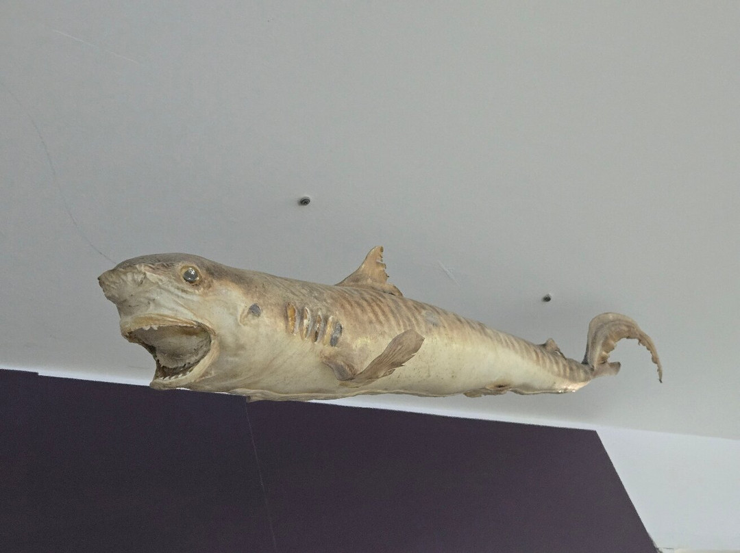 Ocean Aquarium-普它肋斯必去景点