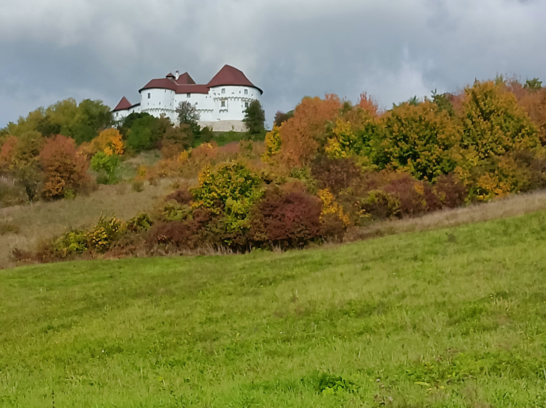 Dvor Veliki Tabor-Desinic必去景点