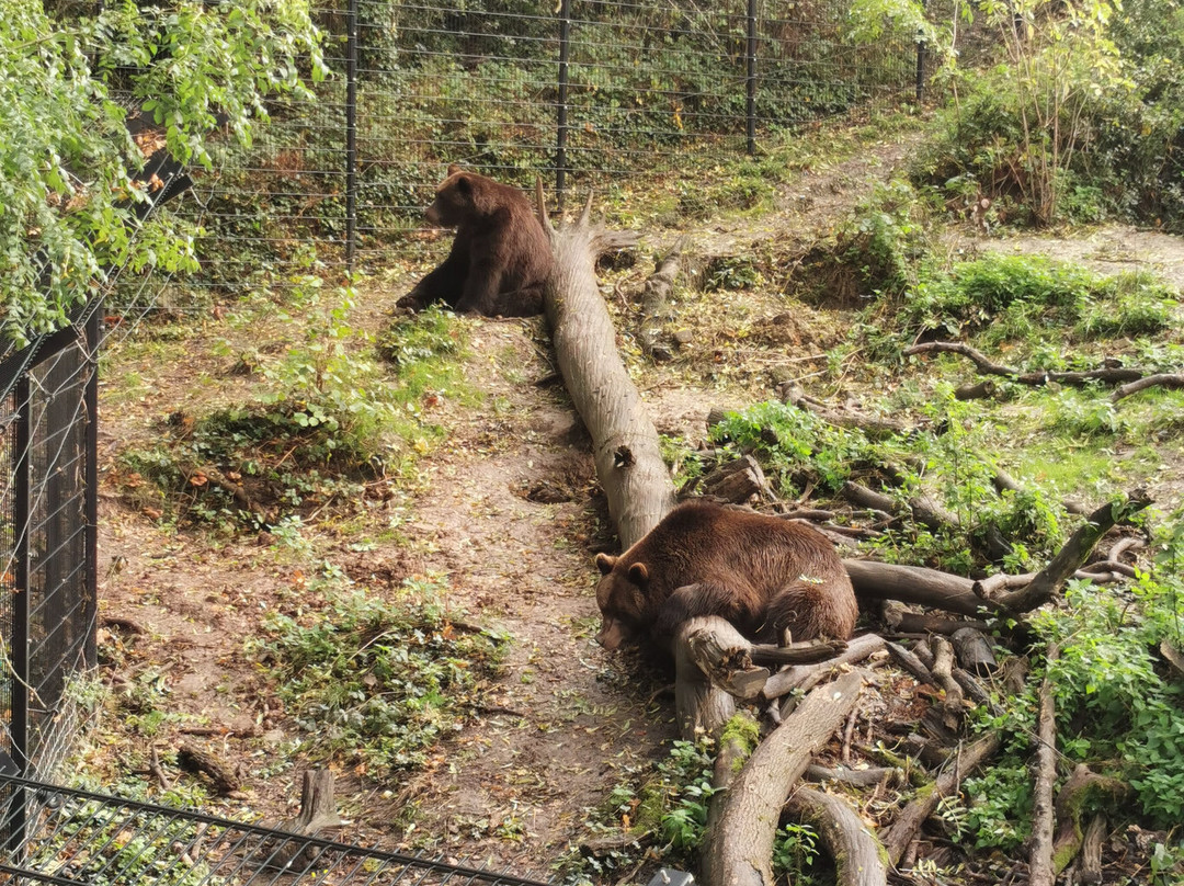 Bristol Zoo Project-Easter Compton必去景点