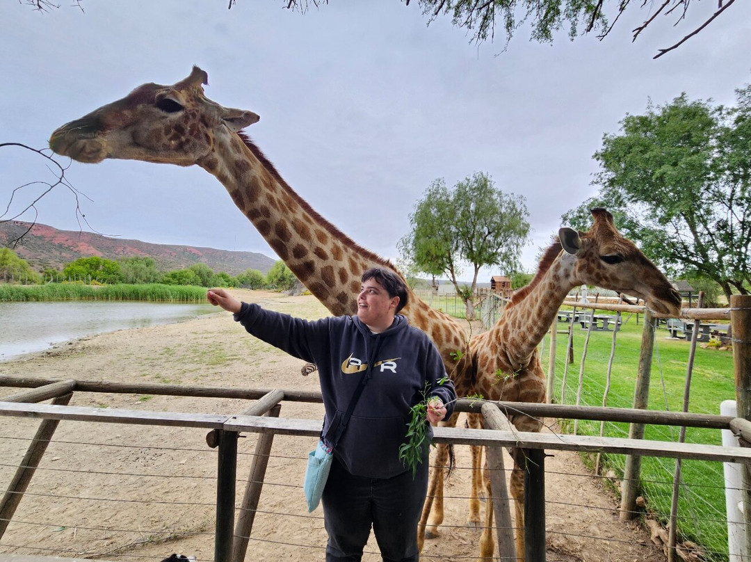 Chandelier Game Lodge & Ostrich Show Farm-奥兹洪必去景点