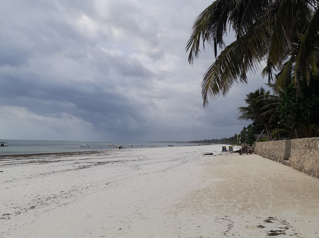 Eagle Ray Divers-Matemwe必去景点