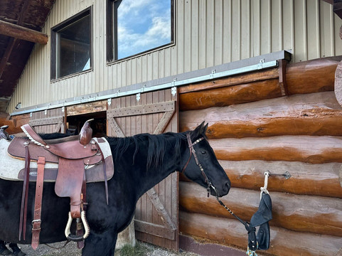 Thanksgiving Ranch主图