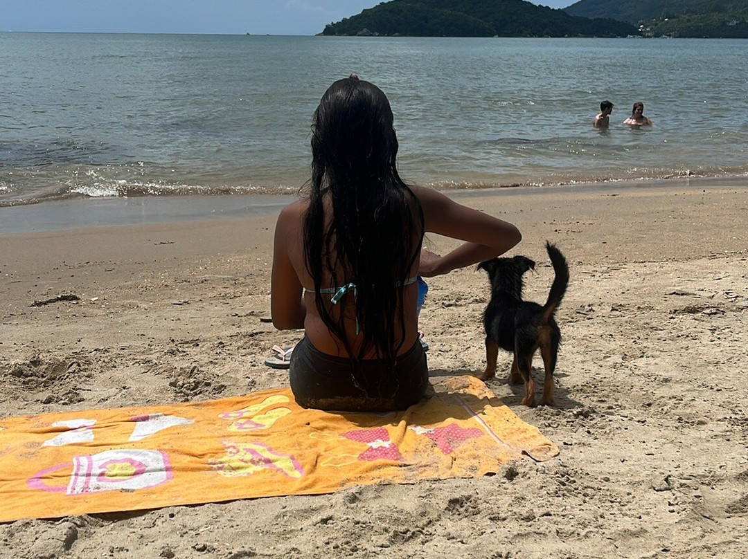 Porto Belo Beach-Porto Belo必去景点