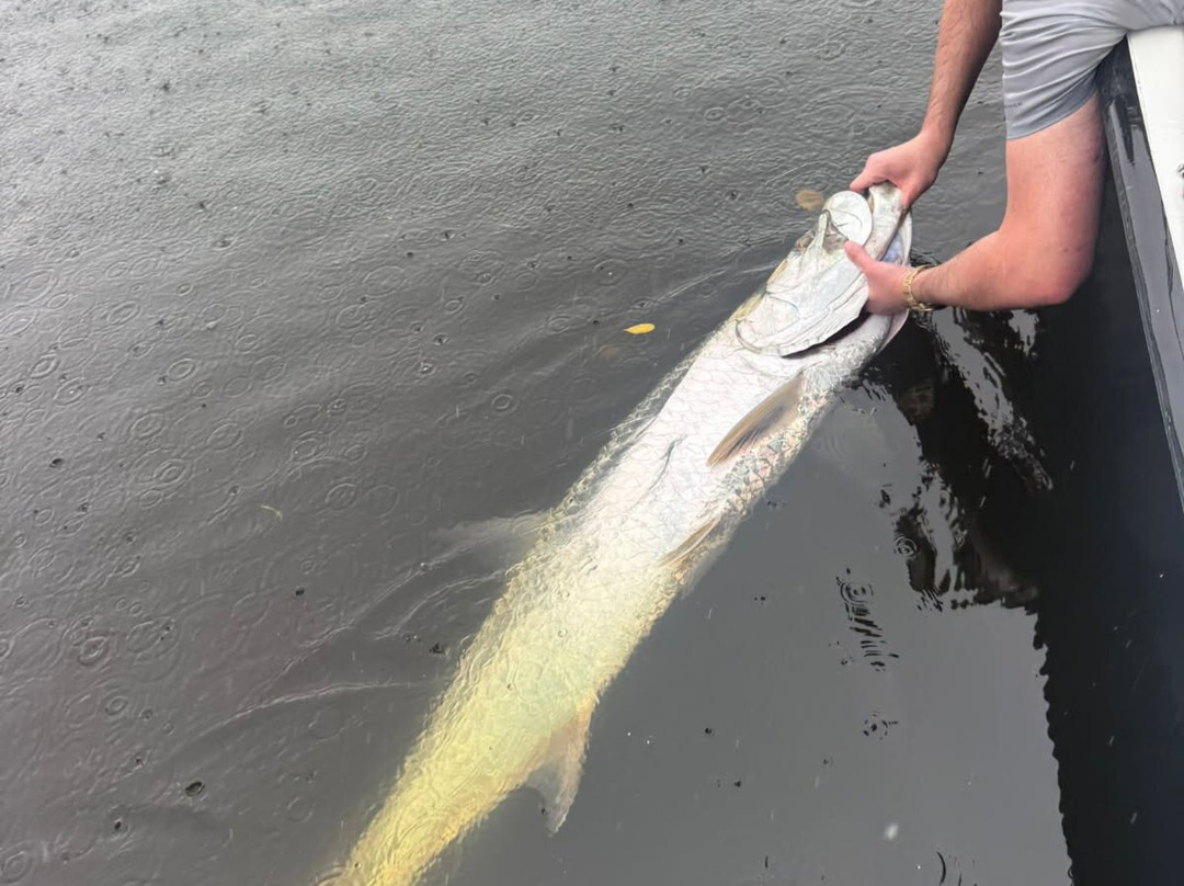 Puerto Rico Magic Tarpon-圣胡安必去景点