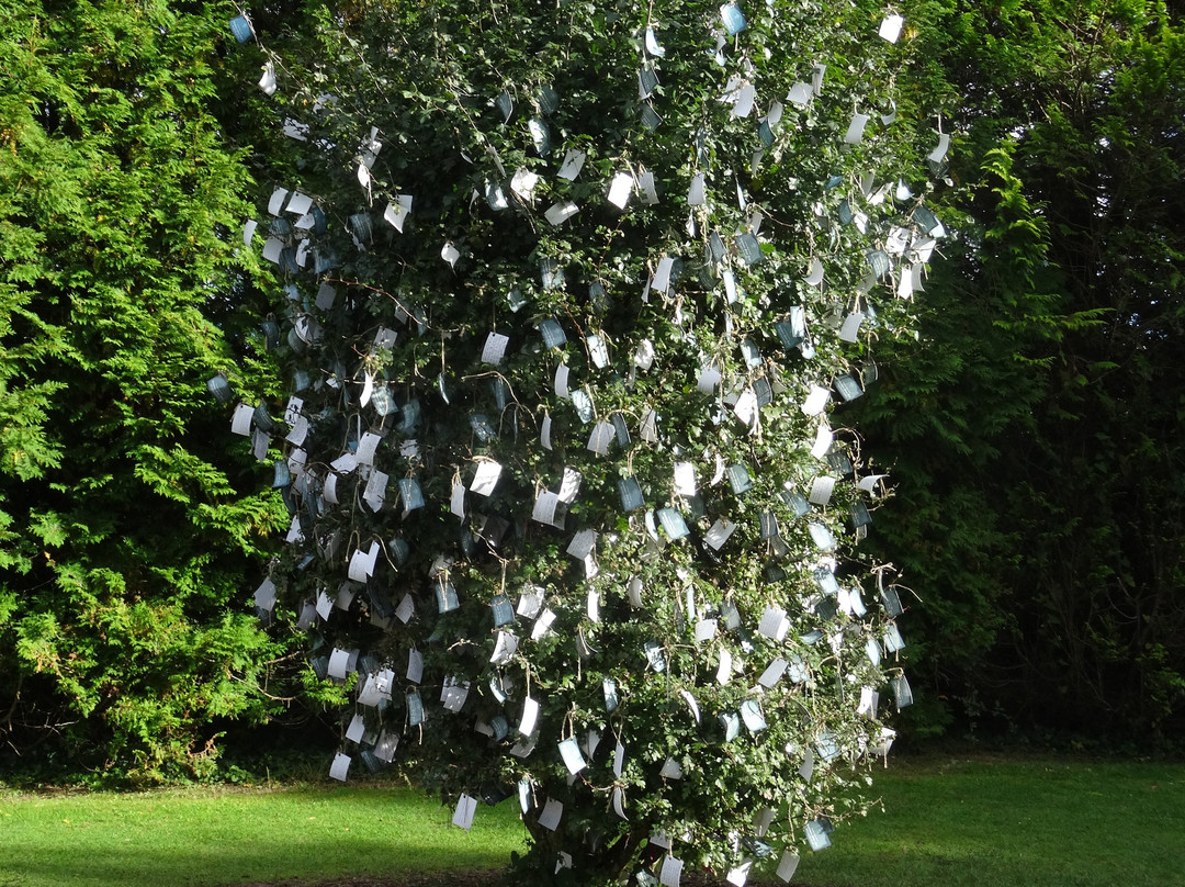 Stone Circle-肯梅尔必去景点