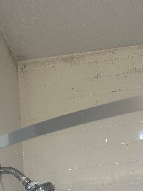 La Quinta Inn & Suites by Wyndham Kingsville主图