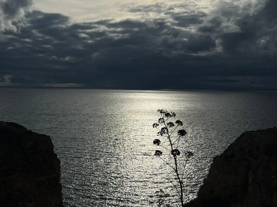 Yellowfish Transfers-法罗必去景点