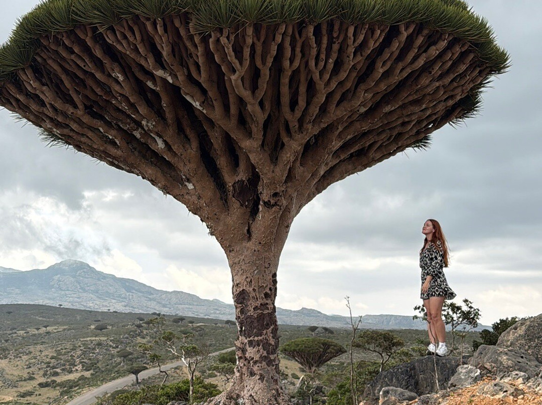 Wild Spirit Socotra-Hadiboh必去景点