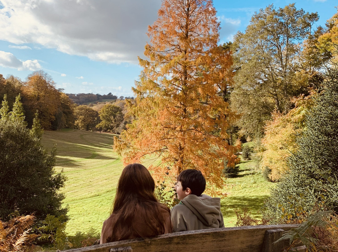 Wakehurst-Haywards Heath必去景点