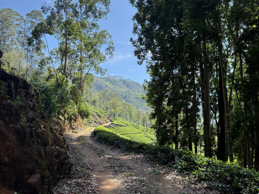 Travel Trail With Pulendran Gobi-埃勒必去景点