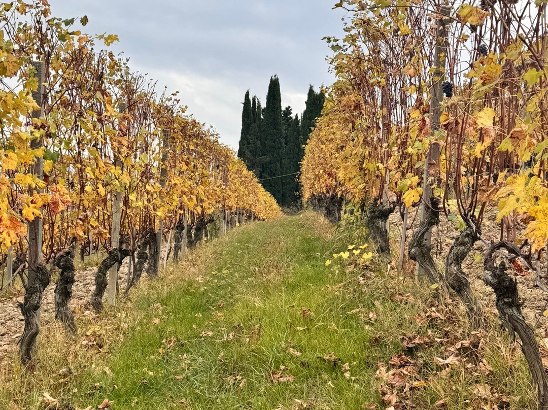 Slowdays-Corneliano d'Alba必去景点