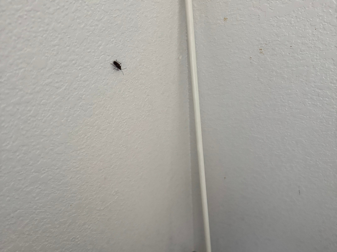 美国斯戴套房酒店主图