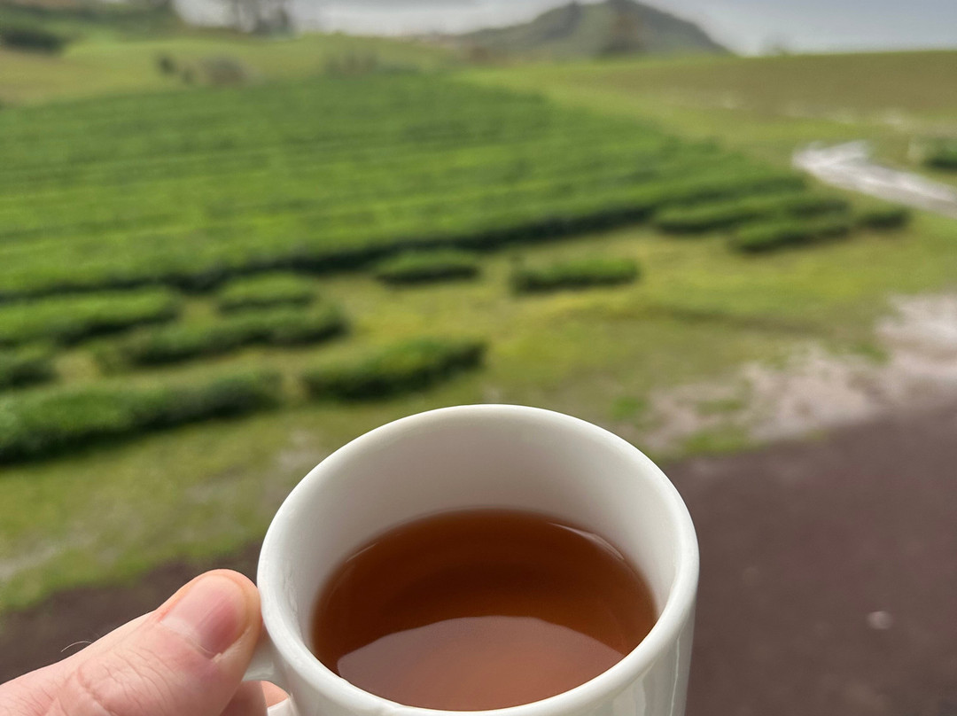 Plantações de Chá Gorreana-Maia必去景点