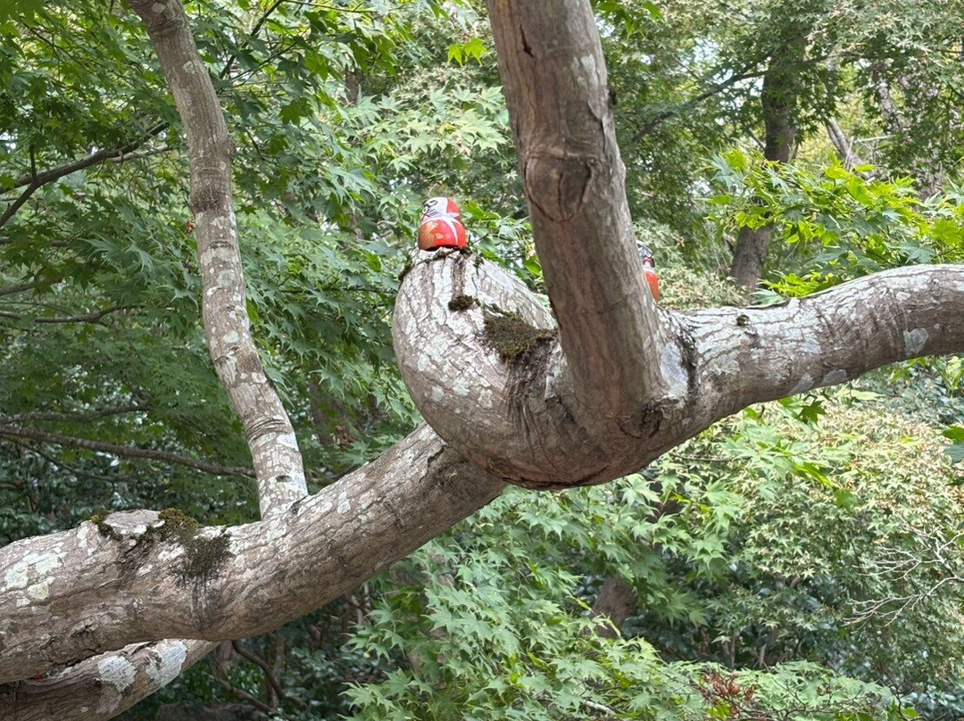 Katsuo-ji Temple-美浓市必去景点