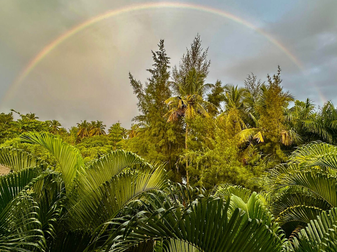 Samyak Yoga-迈索尔必去景点