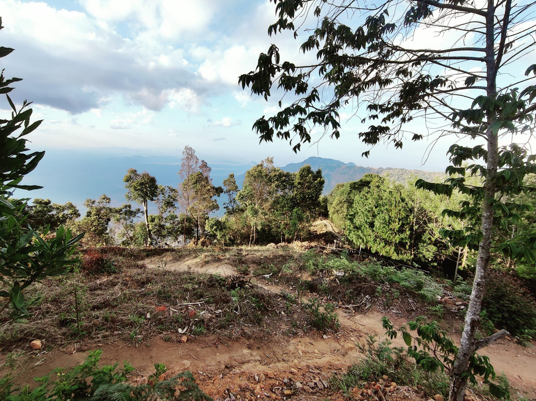 Usambara Eco Tours-卢绍托必去景点