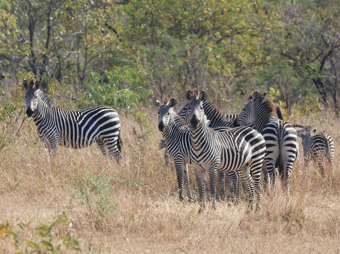 Msafiri Travels-Dar es Salaam必去景点