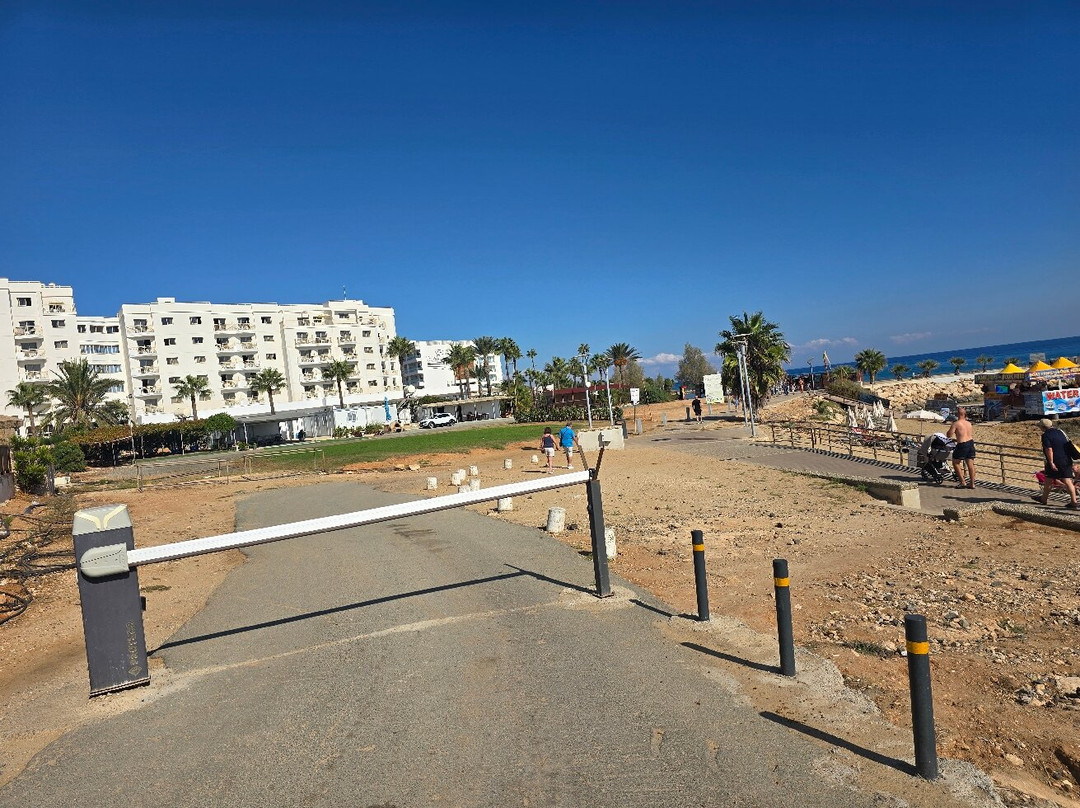 Vrissiana Beach-普它肋斯必去景点