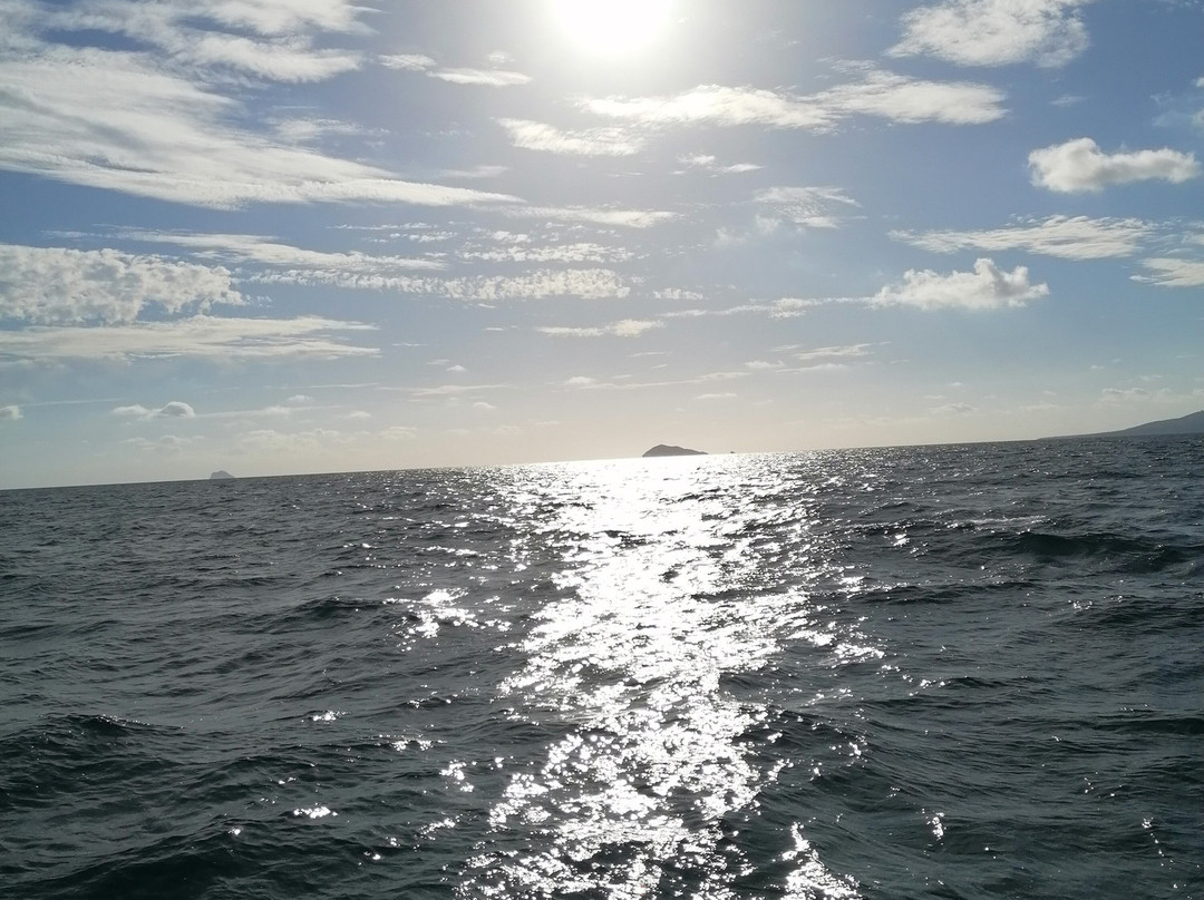 Pescaturismo Jessica E-Porto Pino必去景点