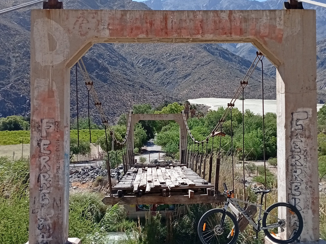 Elki Magic-Vicuna必去景点