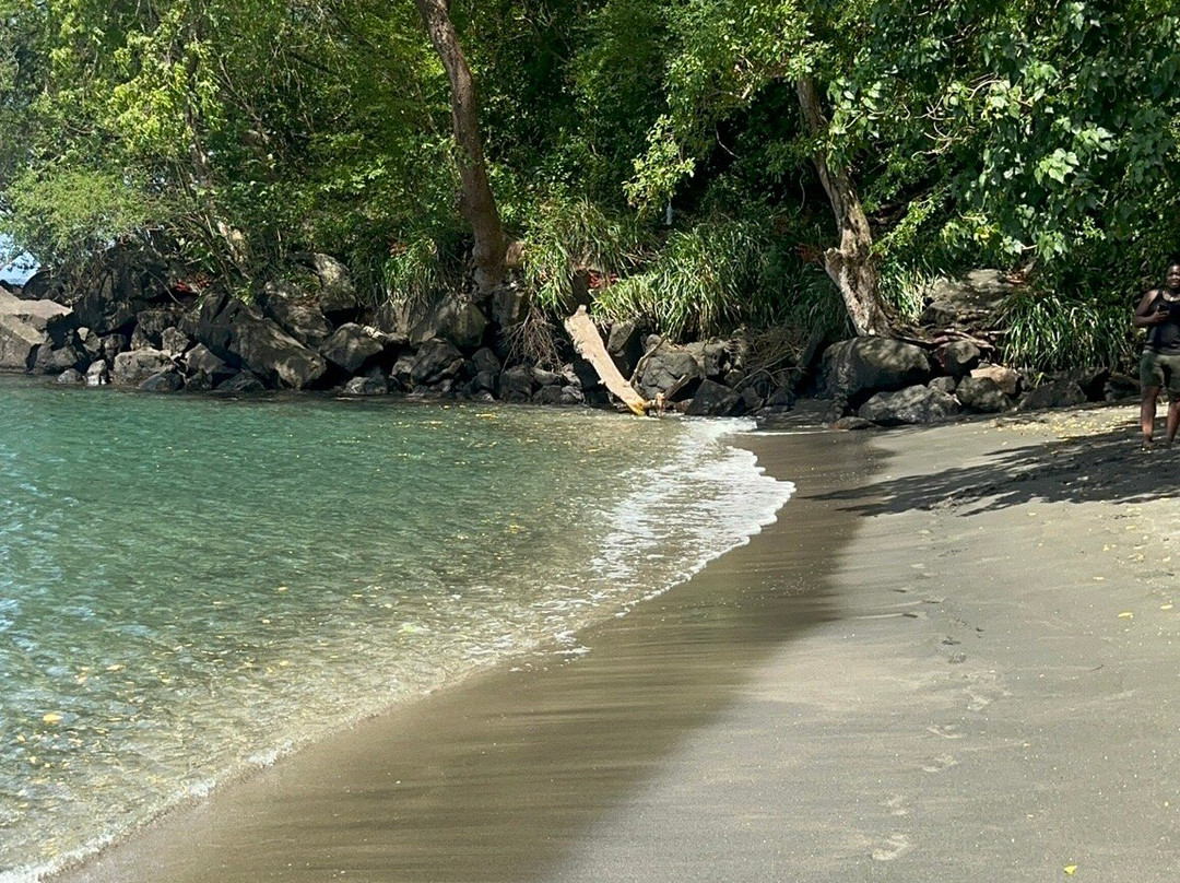 Nature Lovers Tours-Victoria必去景点