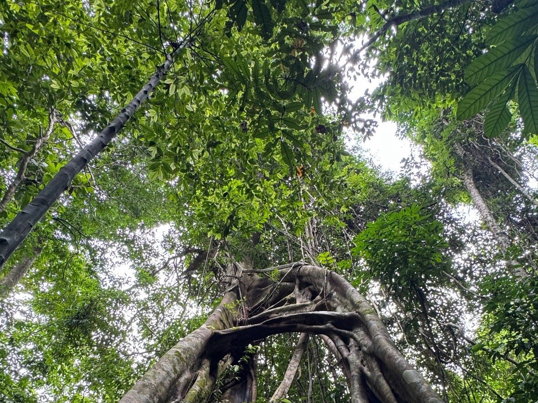 R You Go Khoalak By Guide Arisara-拉克山必去景点
