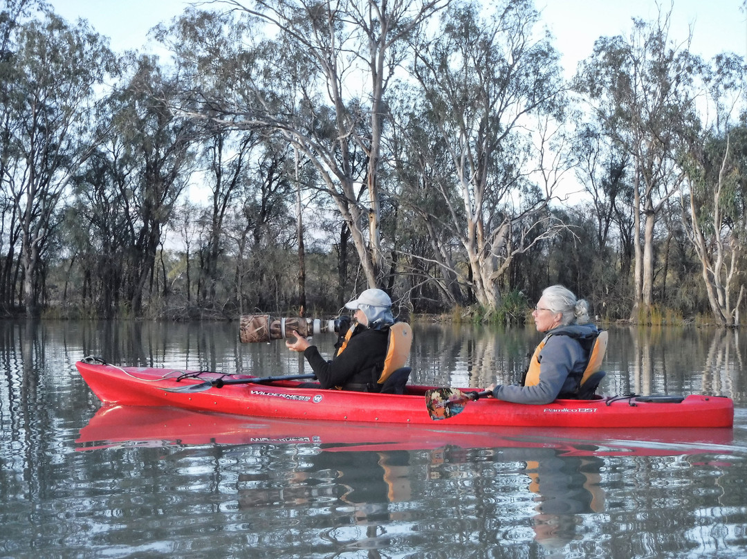 Canoe Adventures - Riverland-Berri必去景点