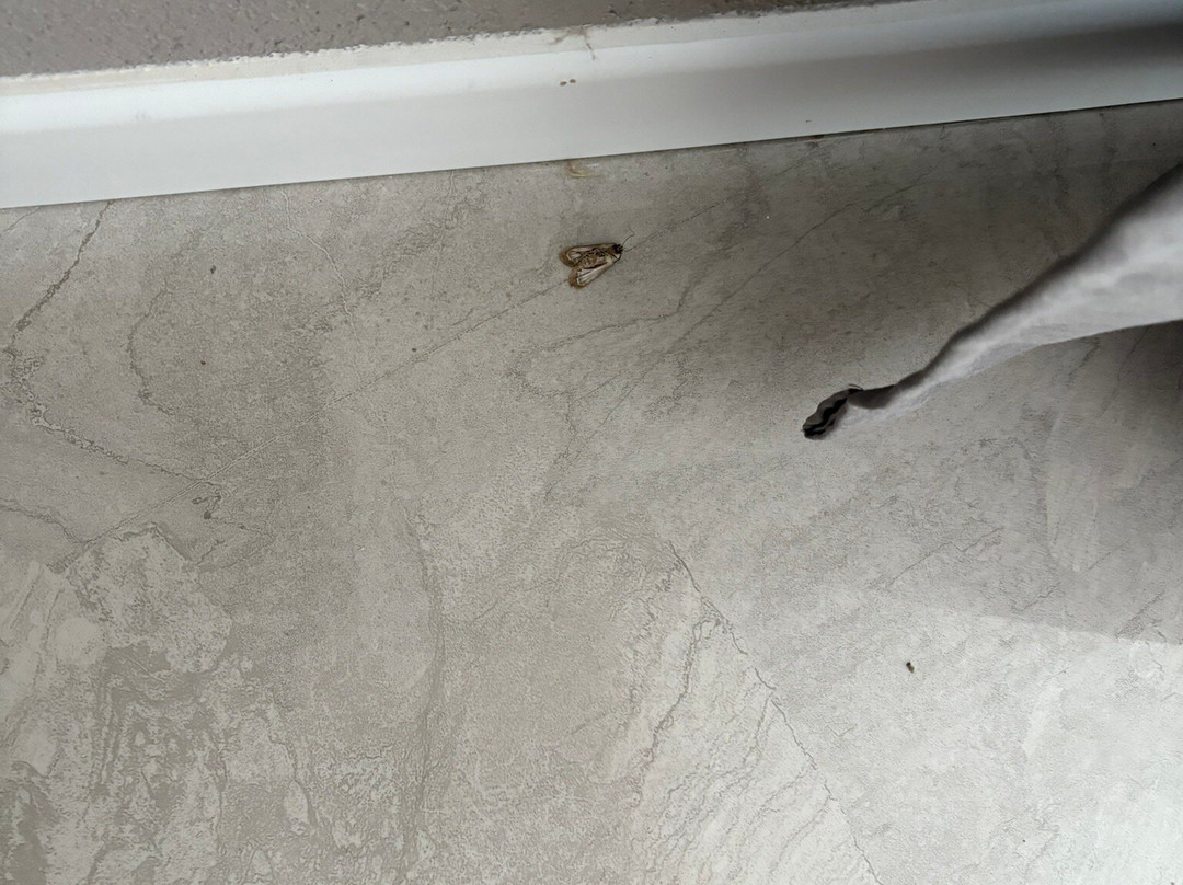 Akyali Butik Hotel主图