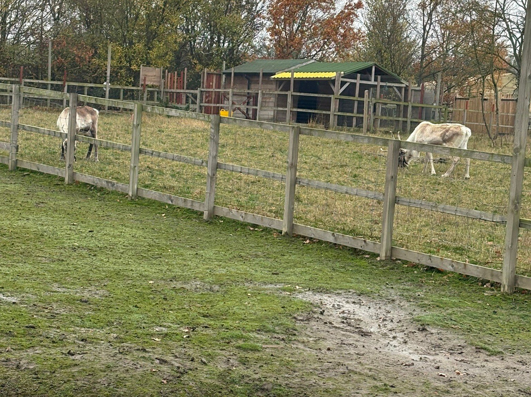 Gulliver's Valley Theme Park-谢菲尔德必去景点