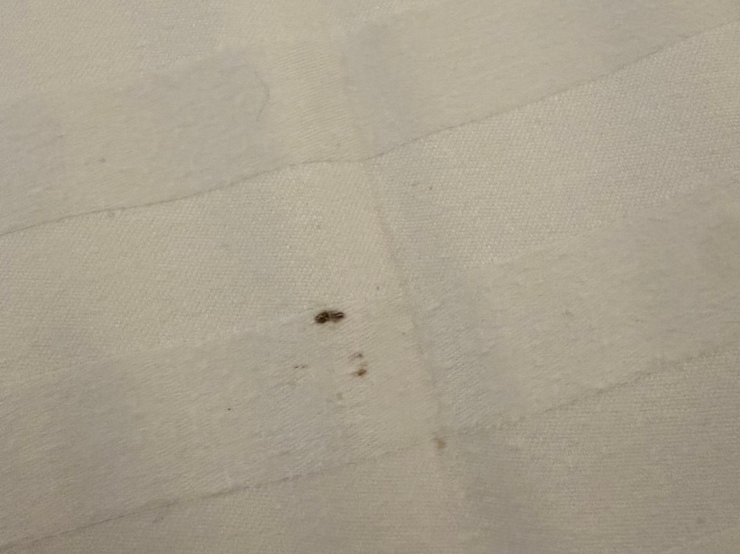 诺曼底酒店主图