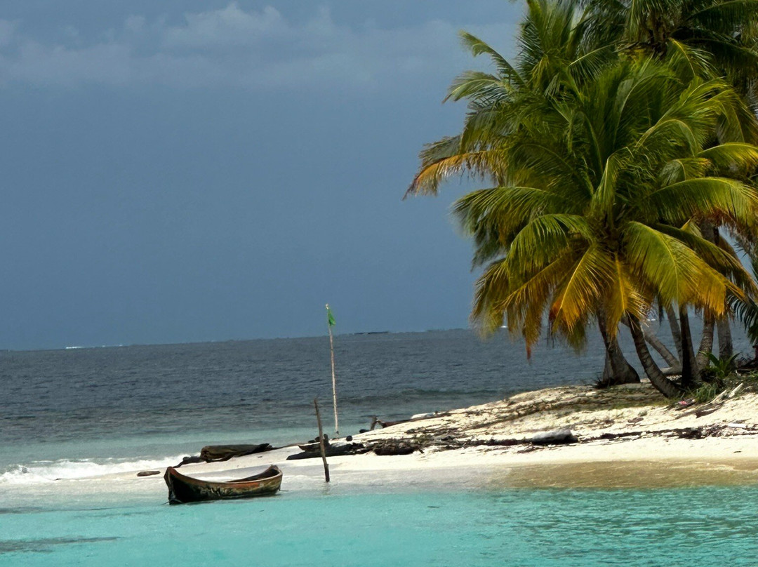 Flying Ginny Catamaran Charter-埃尔波韦尼尔必去景点