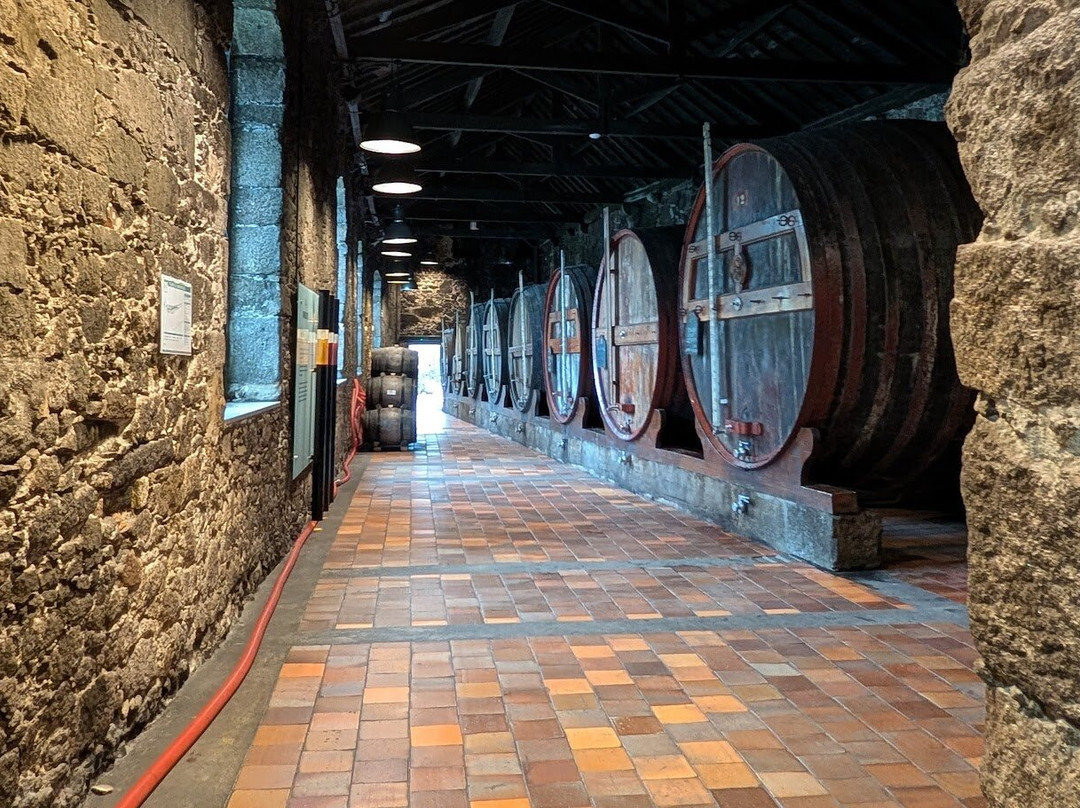 Burmester-加亚新城必去景点