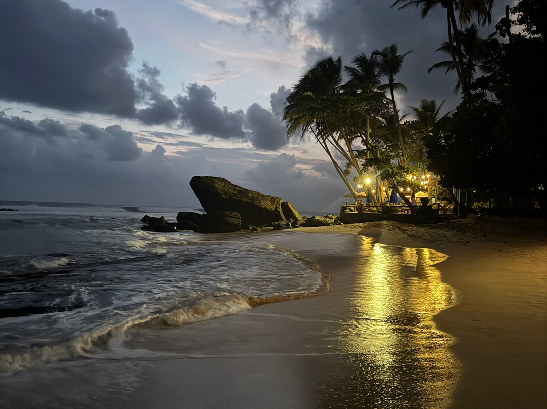 LANKA TOP TRIPS-康提必去景点