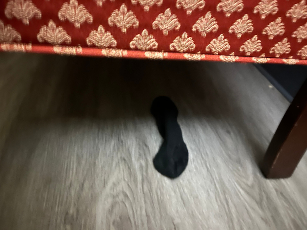 Country Inn & Suites by Radisson, Harrisburg West Mechanicsburg主图