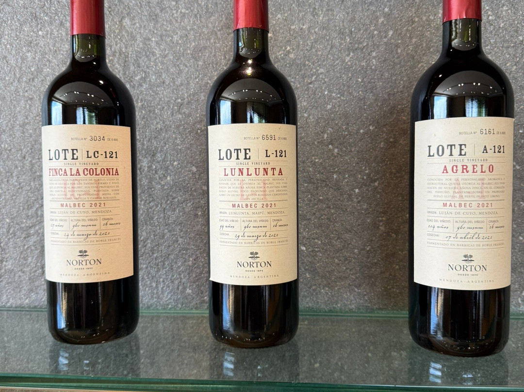 Bodega Norton-路冉得库约必去景点