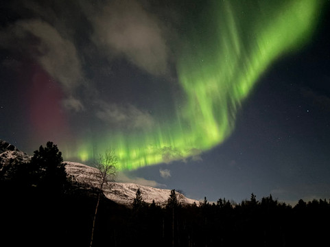 Steam Tours-特罗姆瑟必去景点