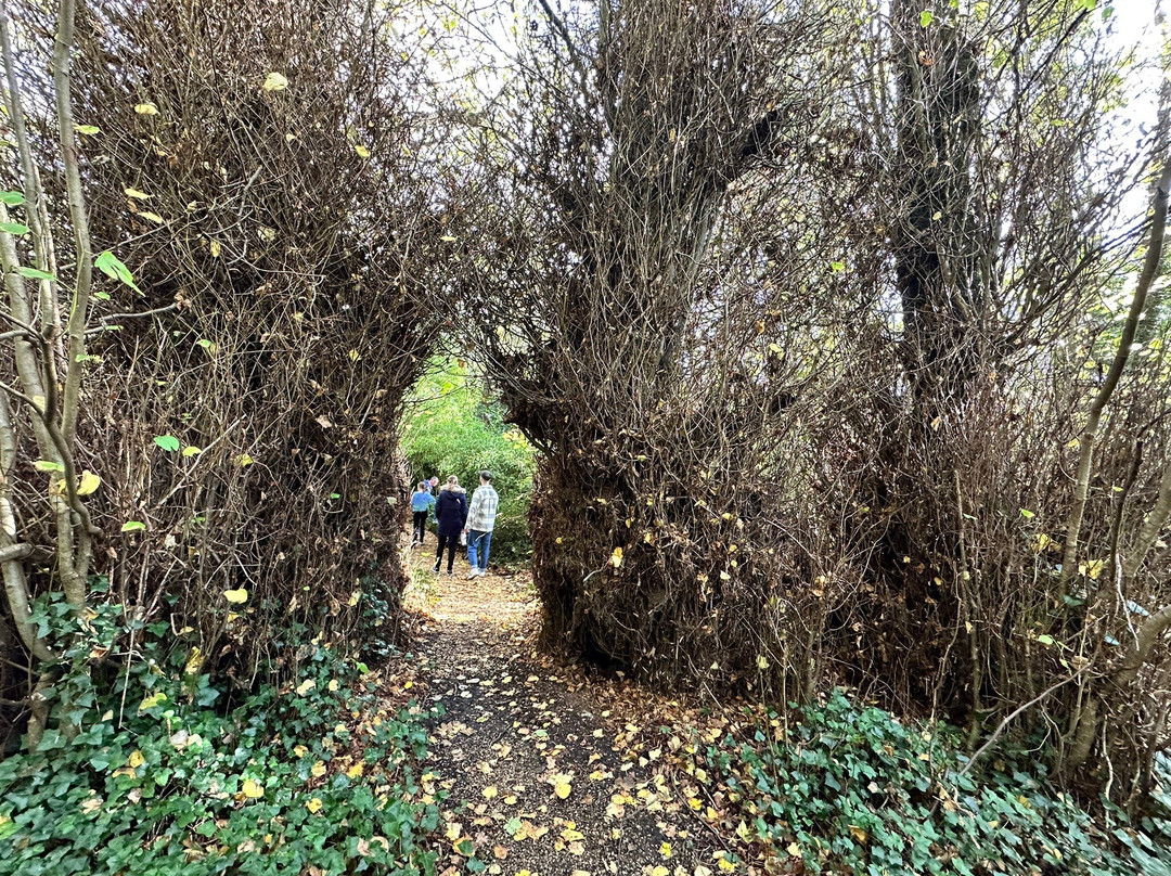 NorthCourt Manor主图