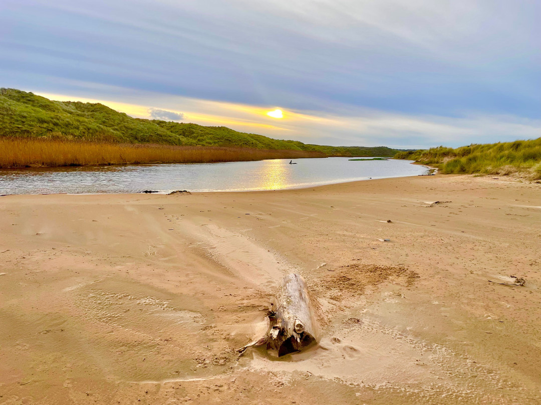 Waters of Philorth local nature reserve-Fraserburgh必去景点