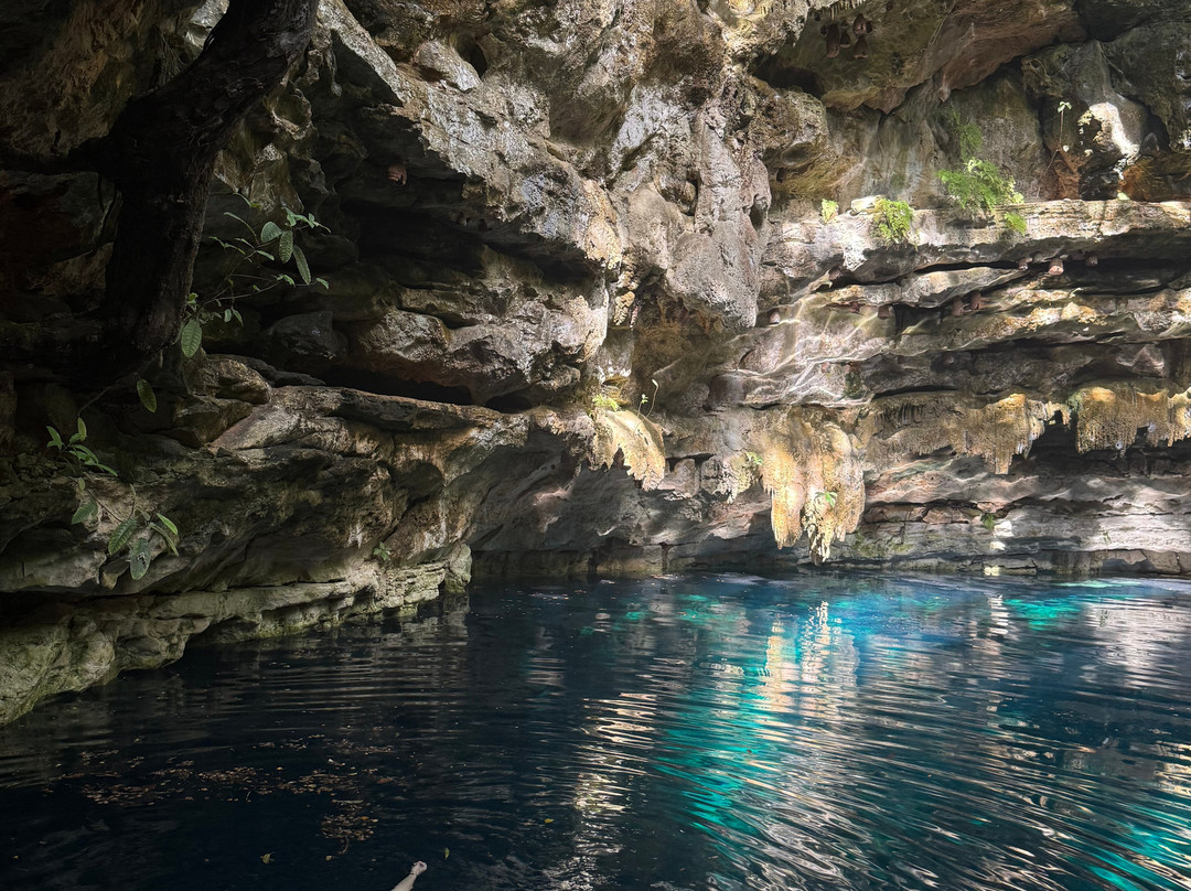 Los 7 Cenotes San Gerónimo-梅里达必去景点