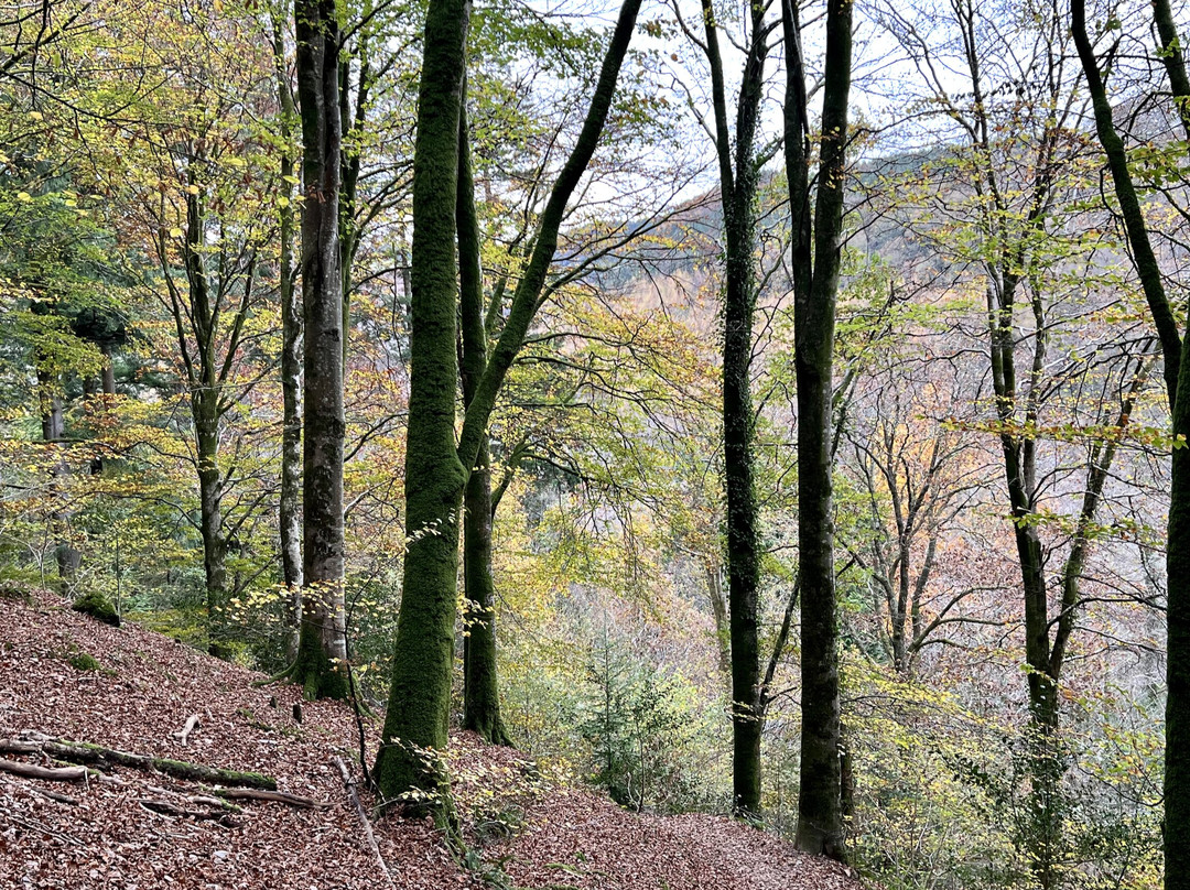 Tan Y Coed-Corris必去景点