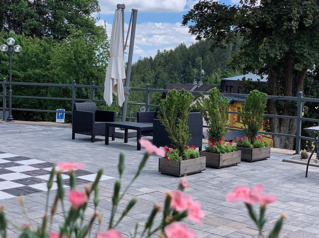 Janske Lazne酒店住宿-Hotel Zur Aussicht