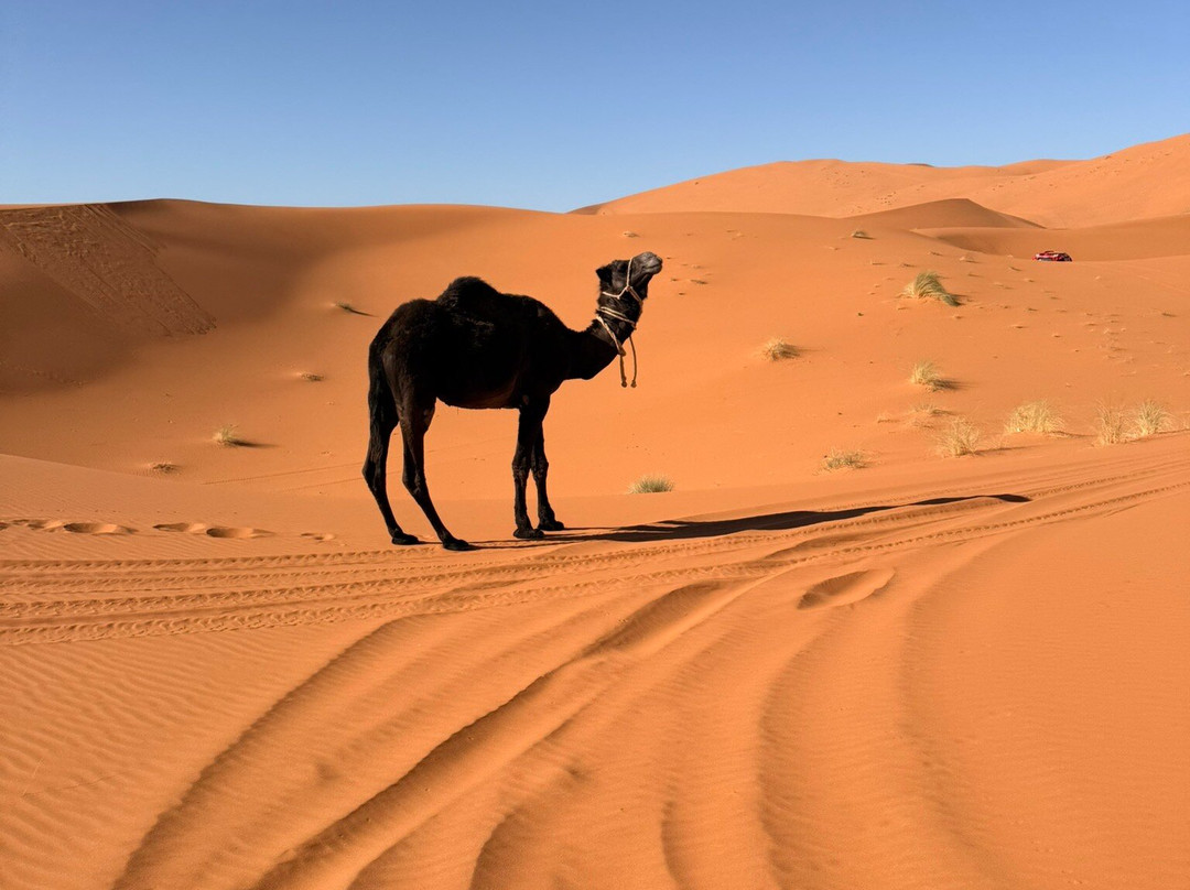 L’Hotel by Chateau de Sable主图