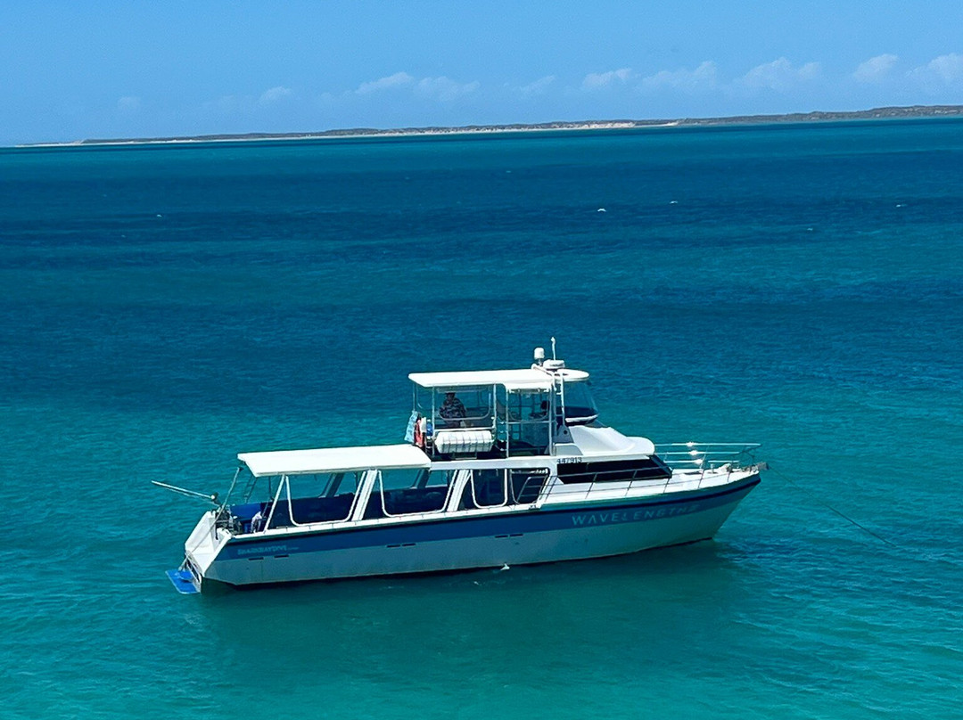 Ocean Park Aquarium-德纳姆必去景点